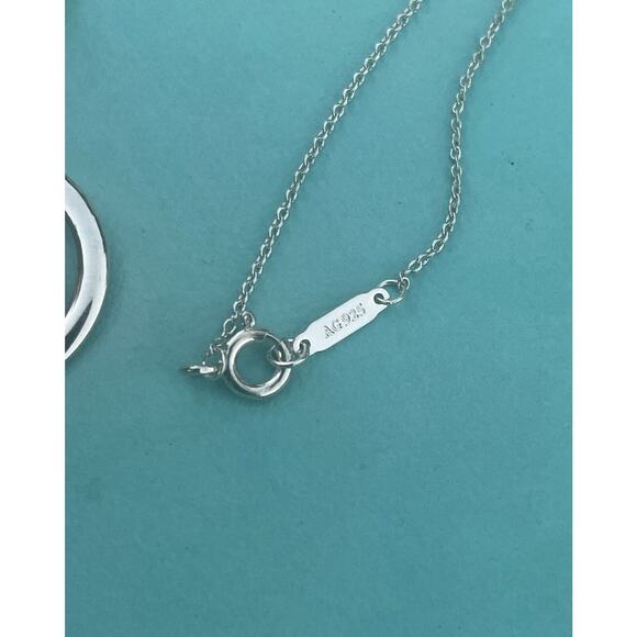 Tiffany & Co. Rubedo Metal Silver Interlocking 1837 Circle Chain Necklace - Picture 10 of 13